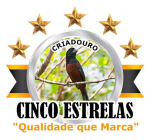 Notícias | Criadouro Cinco Estrelas - Curió Clássico - Brasília/DF